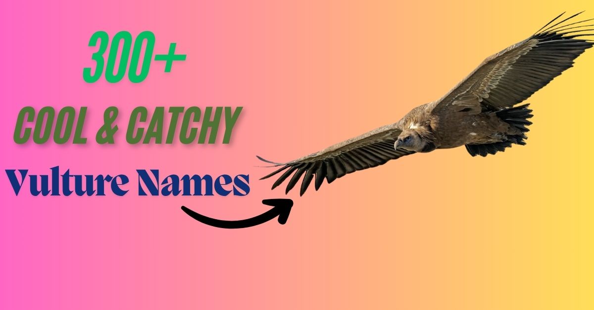 300+ Cool & Catchy Vulture Names With Meanings