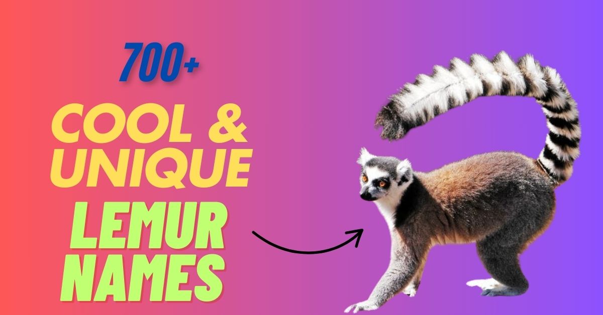 700+ Cool & Unique Lemur Names [Meaningful Ideas]