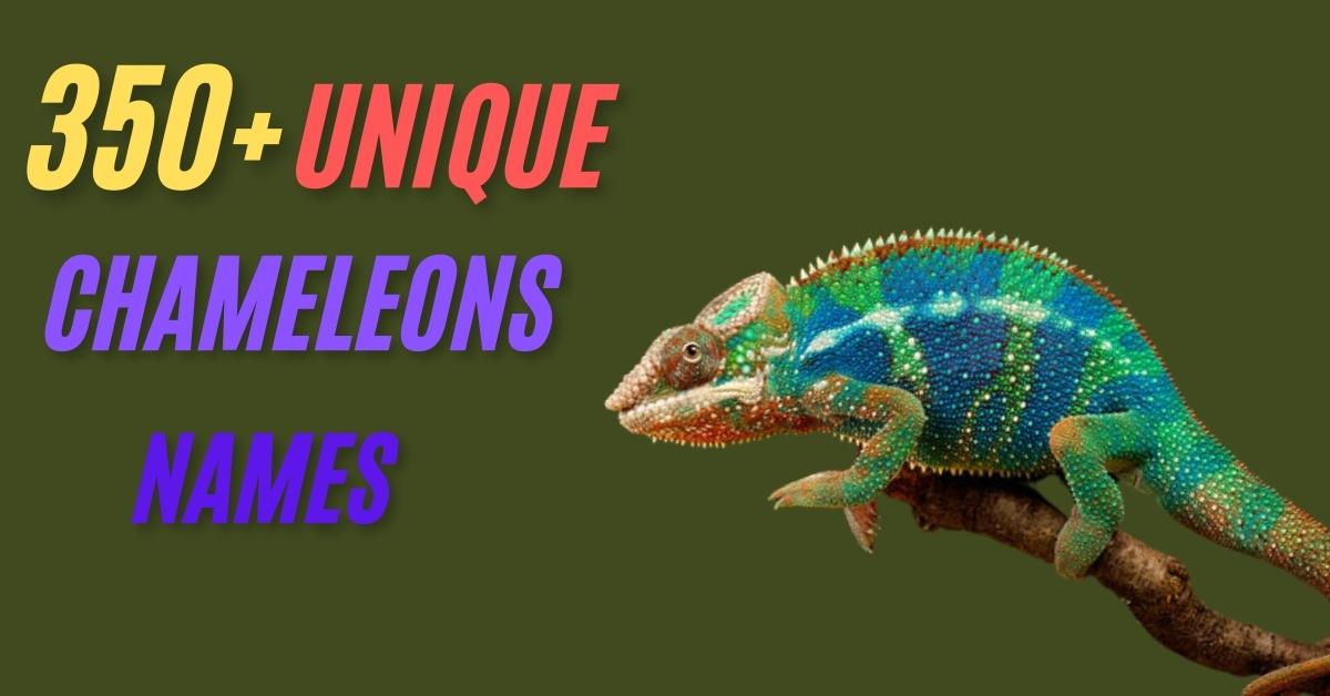 Names for Chameleons