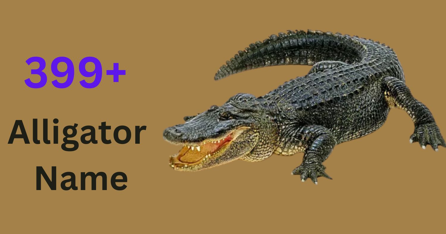 Alligator Names