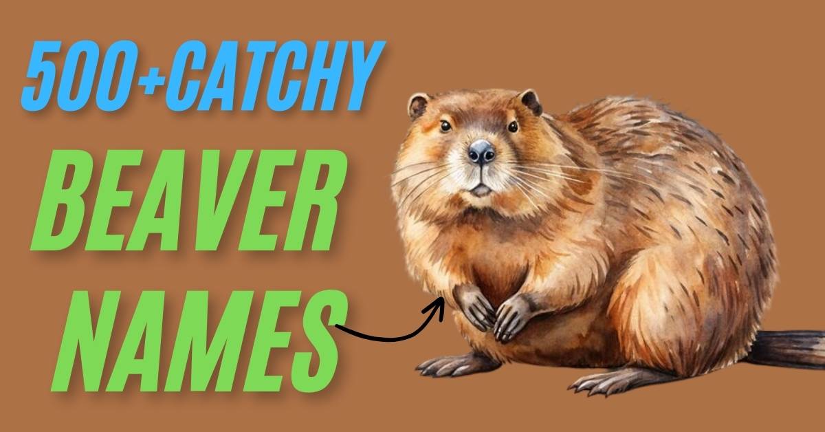 Beaver Names