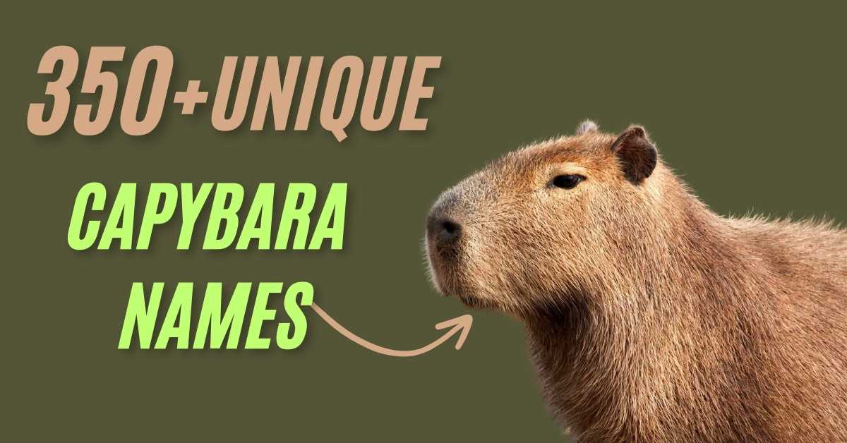 Capybara Names