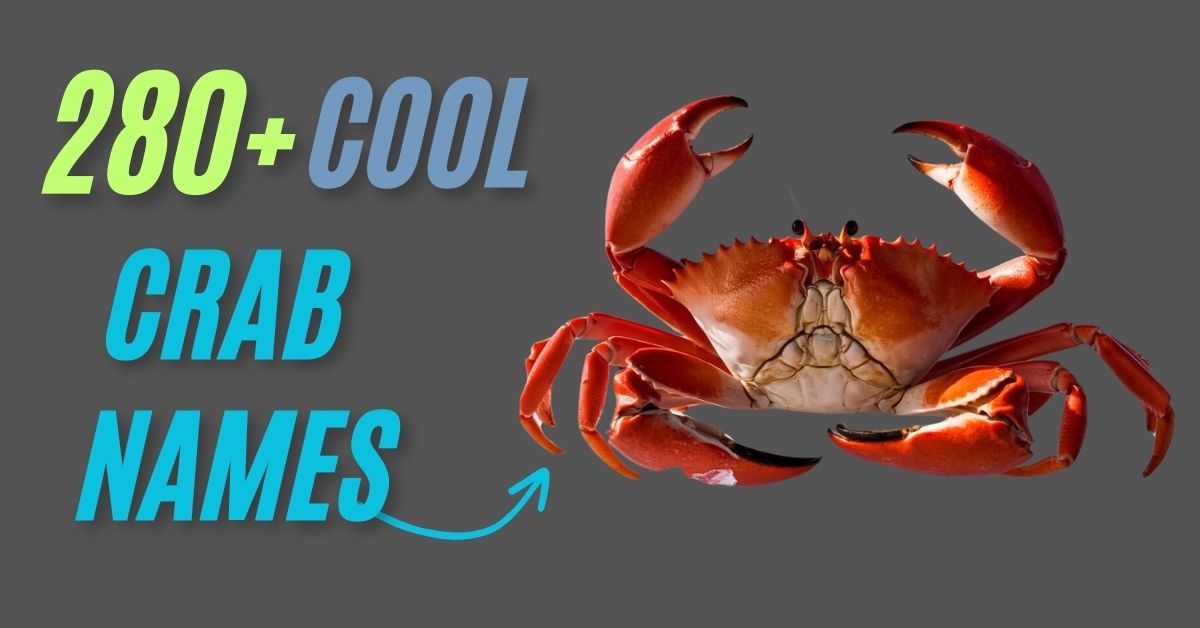 Crab Names