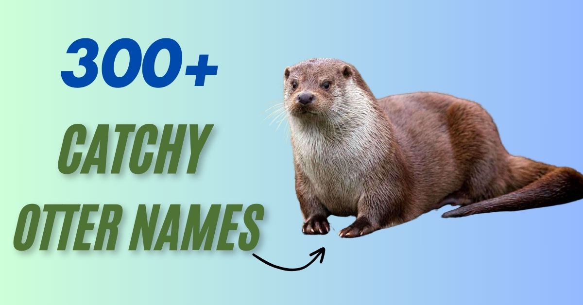 Otter Names