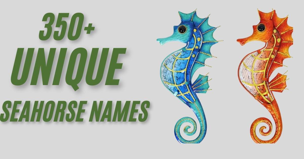 Seahorse Names