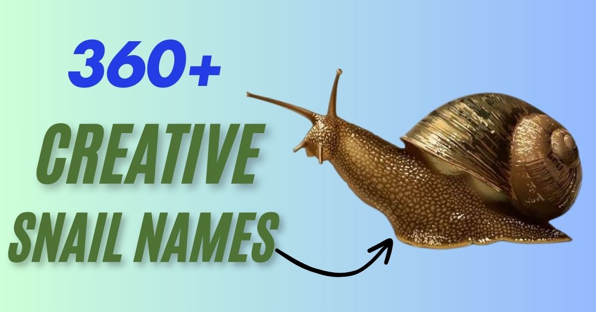 Snail Names