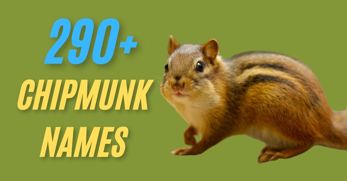 Chipmunk Names