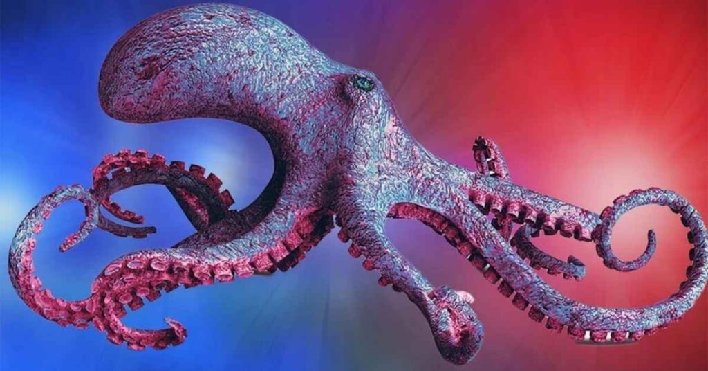 Interesting Facts About Octopus