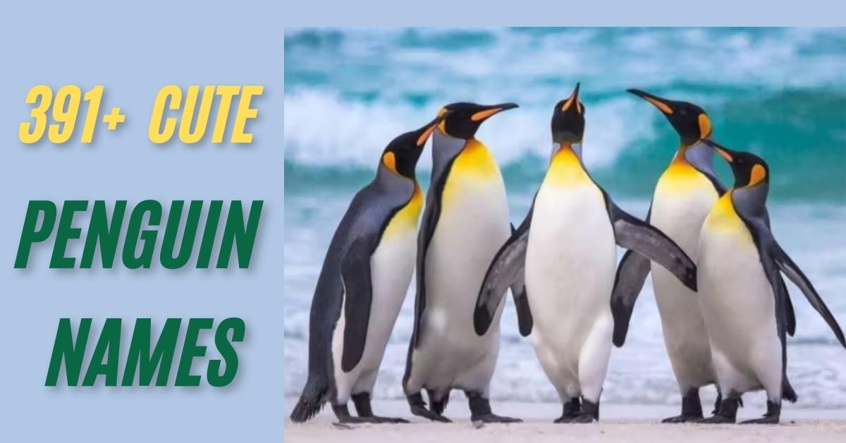 Penguin Names