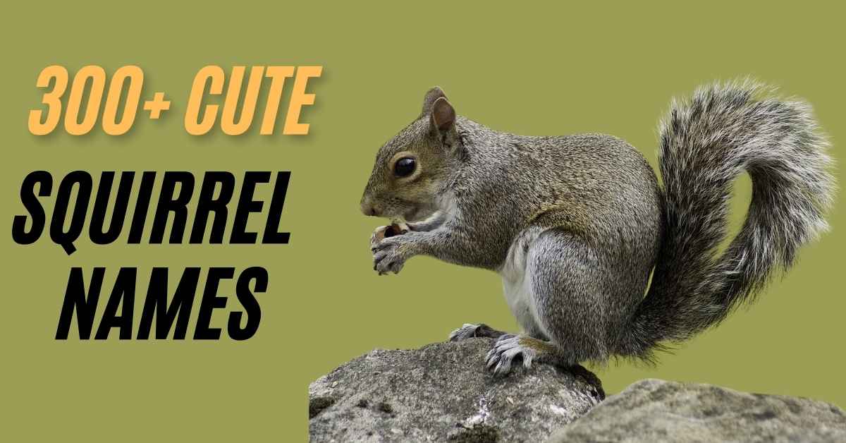 Squirrel Names